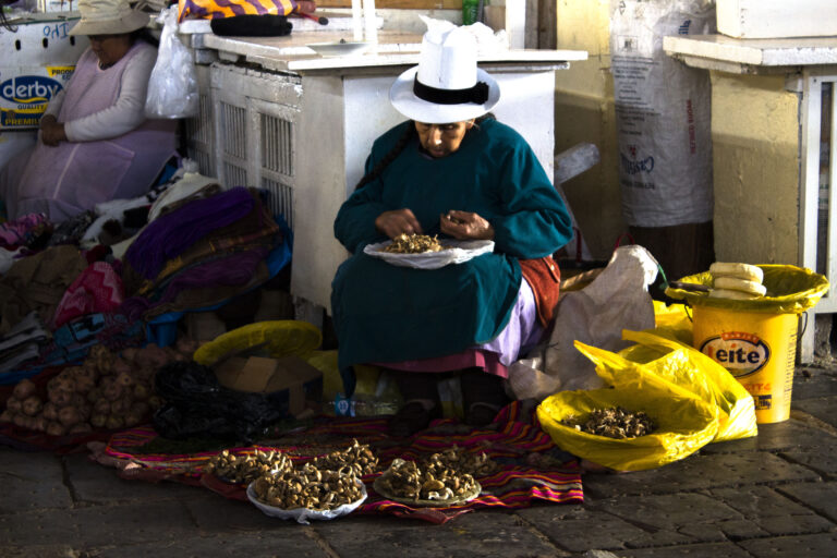 CUZCO13