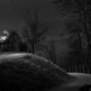 sLOVEnie