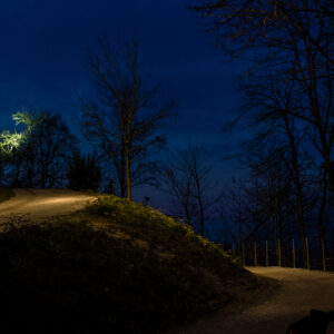 Blue Night